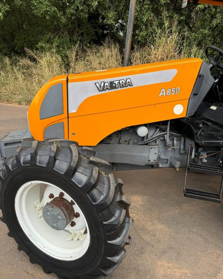 SaveClip.App_449221517_1606431970148378_3041921376197969668_n