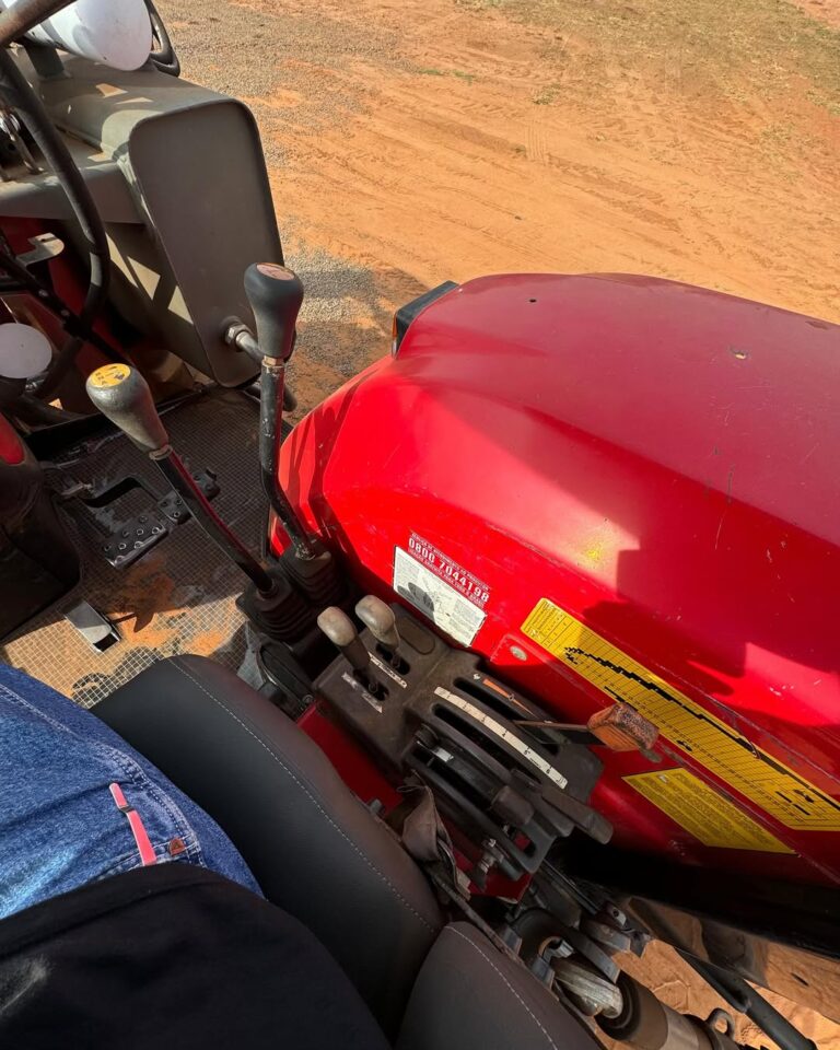 SaveClip.App_449635567_1221608582344551_8262365286879989224_n