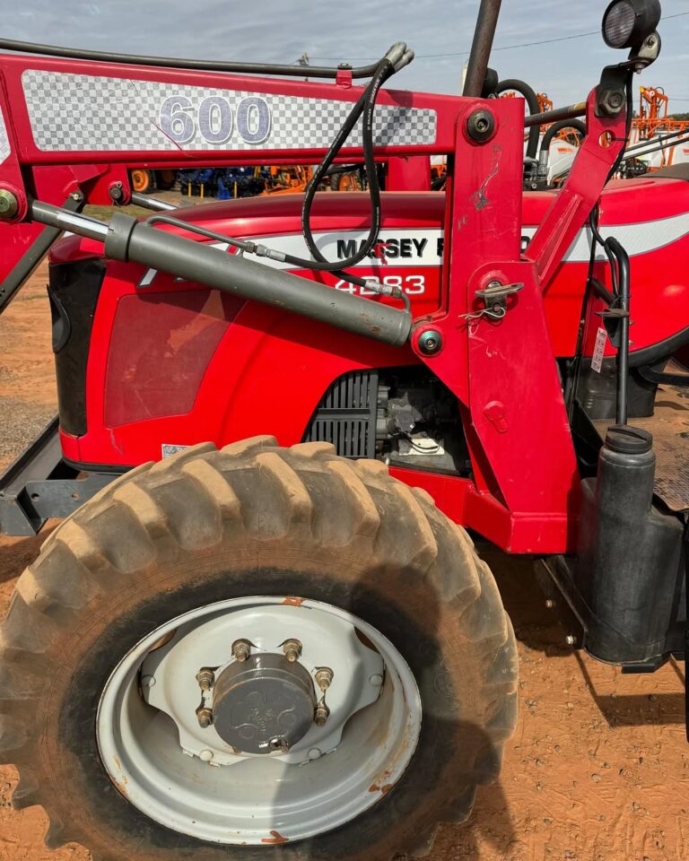 SaveClip.App_449637385_1185284279174109_6204677895635583596_n