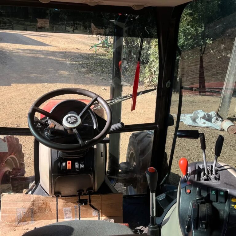 SaveClip.App_453864443_788041570158067_7851080403376786805_n