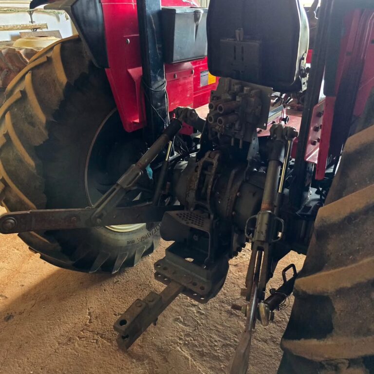 SaveClip.App_472482665_1253103065780362_5181685679216428674_n