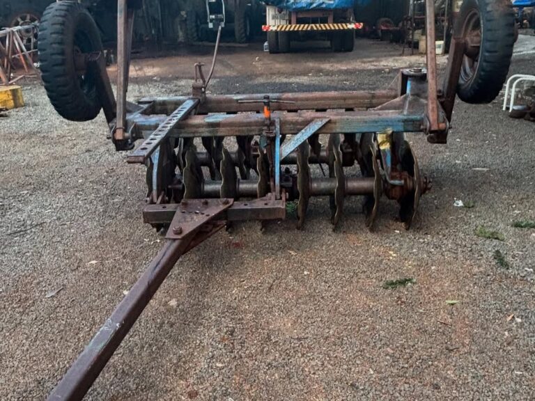 SaveClip.App_488939011_18157400734357913_1841248091714528972_n