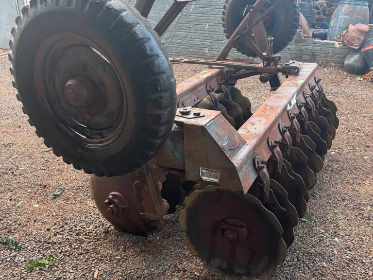 SaveClip.App_490027335_18157400725357913_5599446708753994581_n