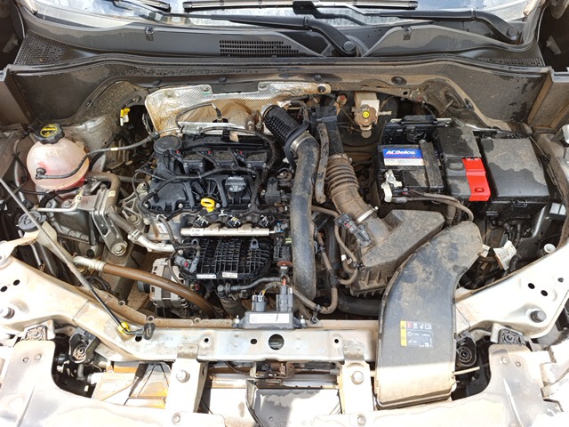 c31ffb5e-2c8a-490b-8fe7-67fc892306a0